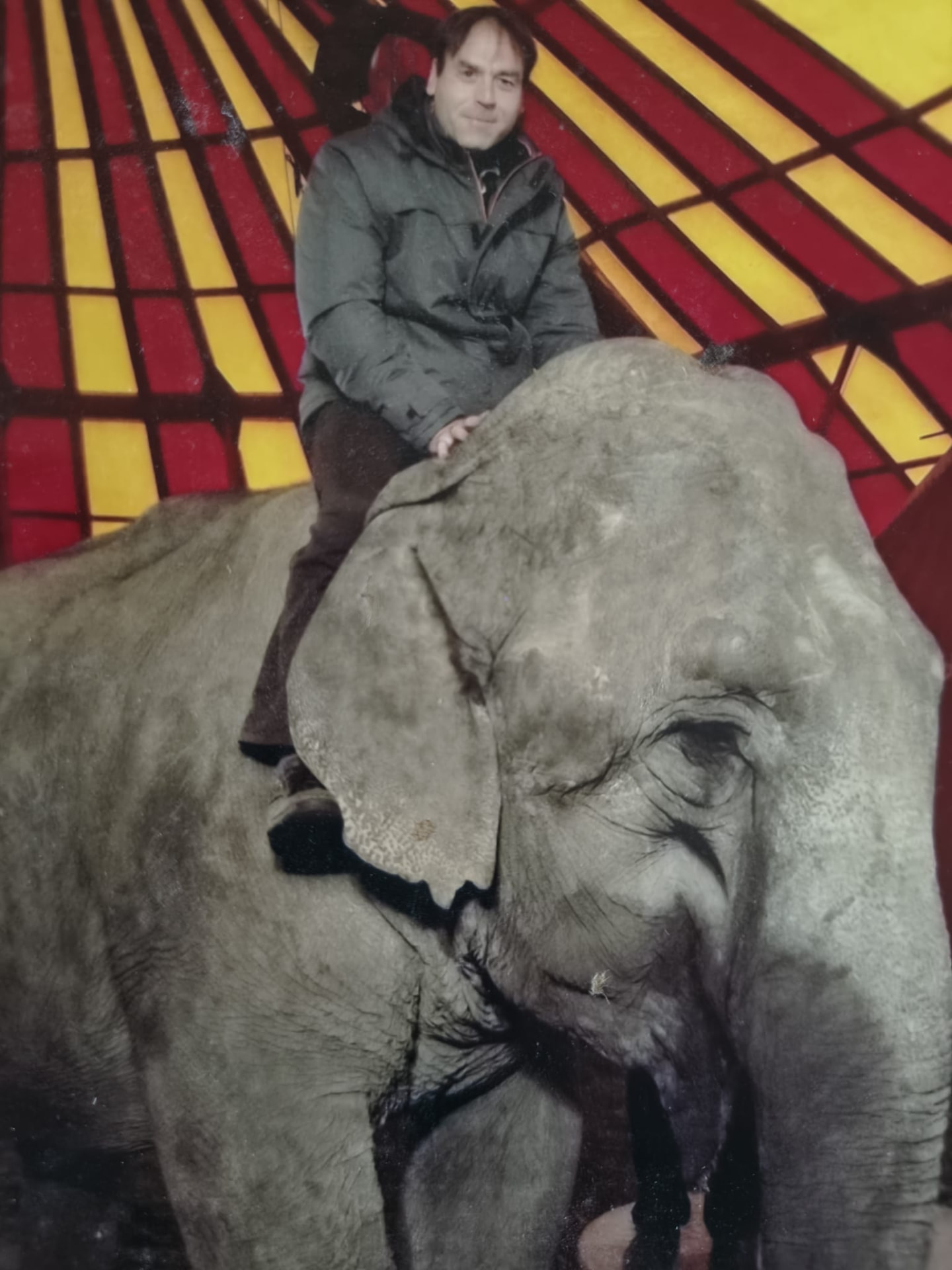 Balazs on an elephant inside a circus tent of red and yellow canvas