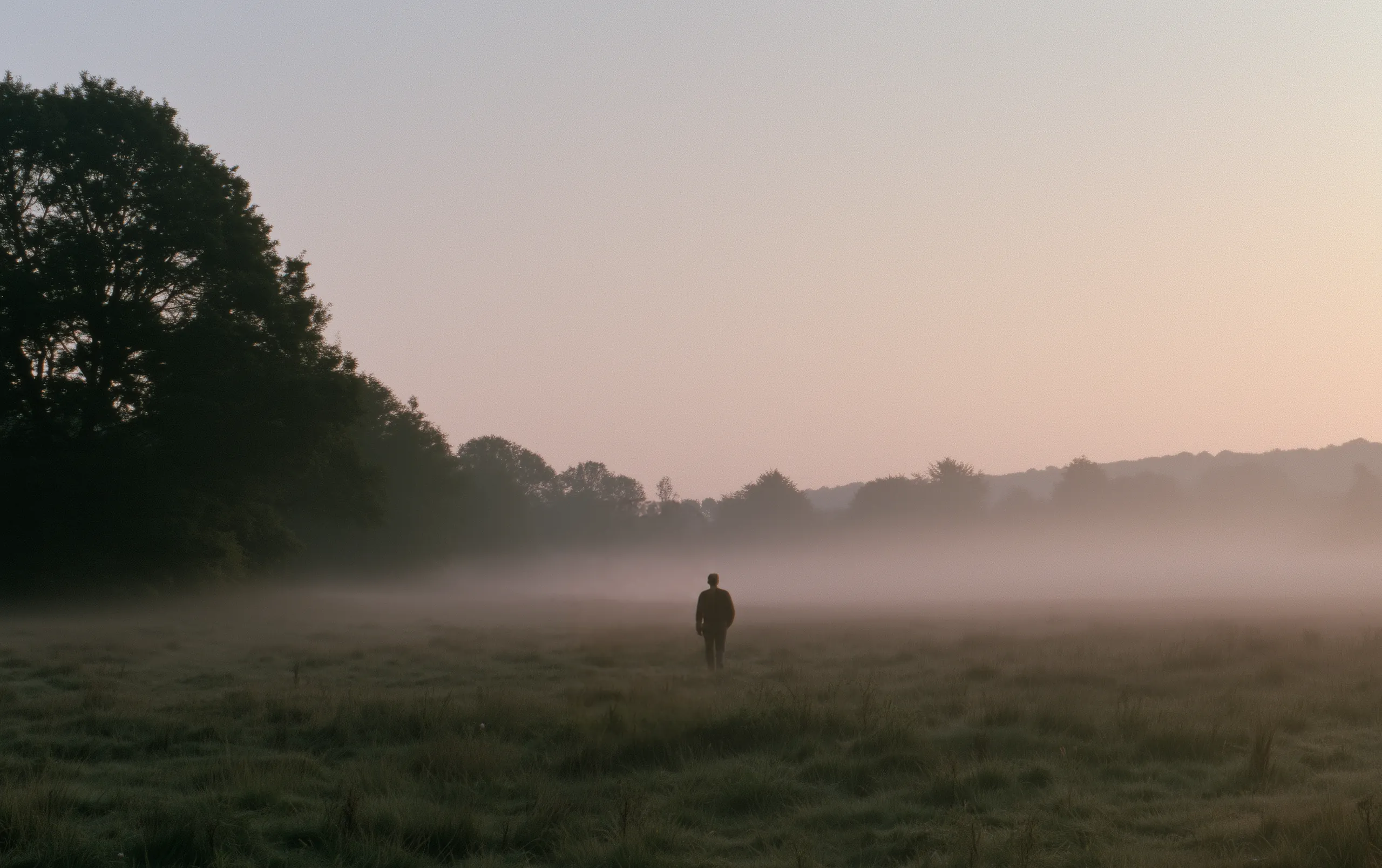 A single figure walking away through a meadow in the first light, with something second standing in the mist behind